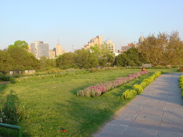 india016.JPG