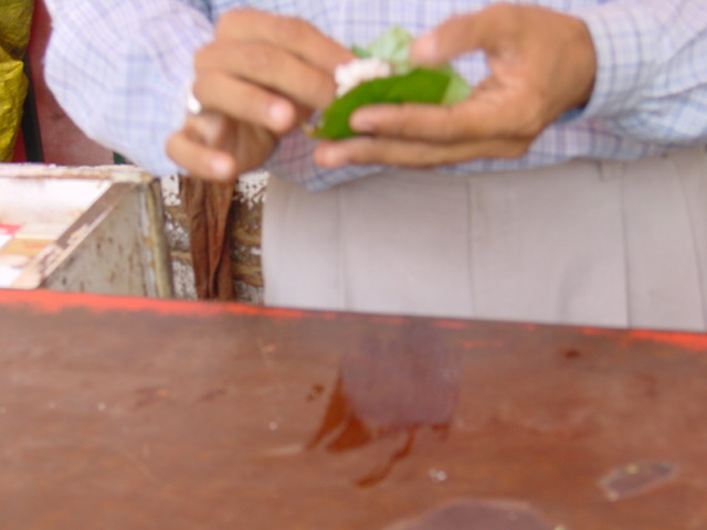 india021.JPG