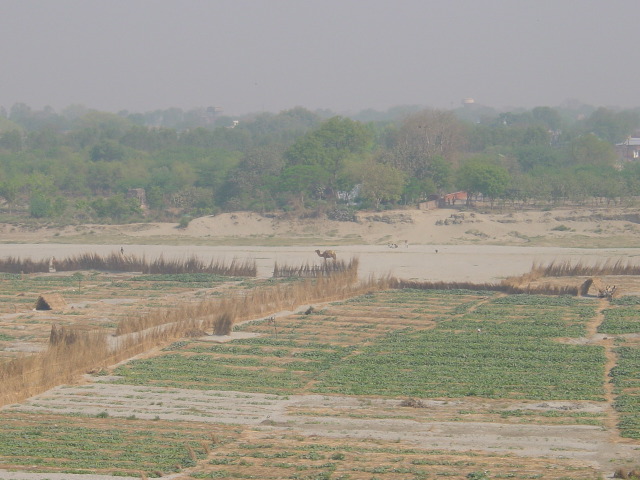 india046.JPG