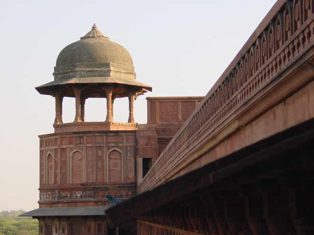 india070.JPG