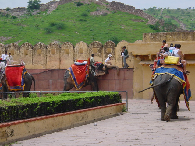 india214.JPG