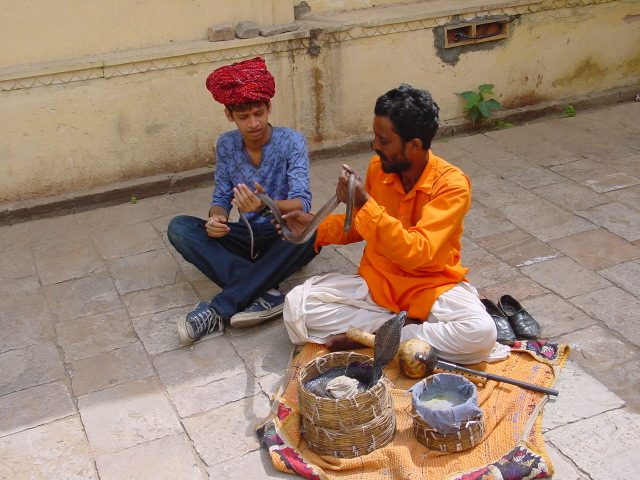india239.JPG
