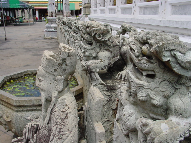 thai50.JPG
